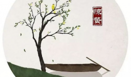 临江仙视频,穿越时空的浪漫传奇